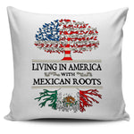 Living in America With Mexican Pillow Covers !